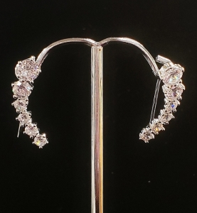Earrings ER19-0476